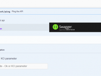 swagger api .net core